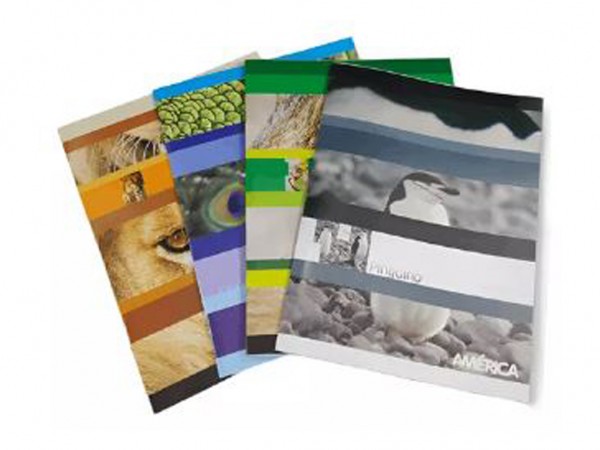 CUADERNO AMERICA T/FLEX 48HS CUADRICULAD - LIBRERIA