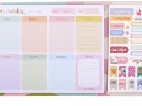 PLANIFICADOR SPIRIT 52H + STICKER 70X165