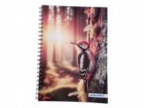 CUADERNO A4 BLANCO RAYADO 80gr x60 hojas